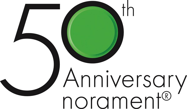 Logo norament Jubiläum