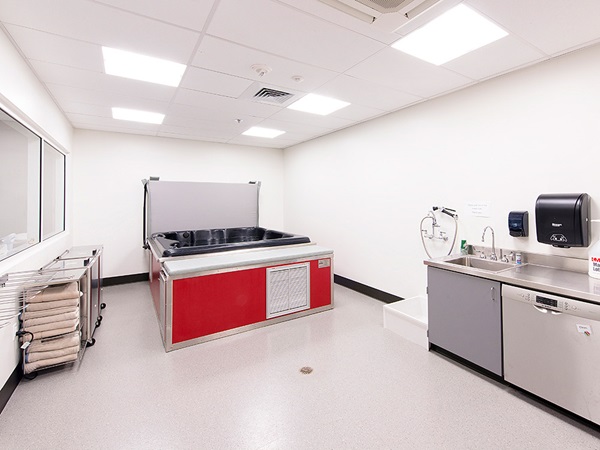 1-WillametteUniv_Mob