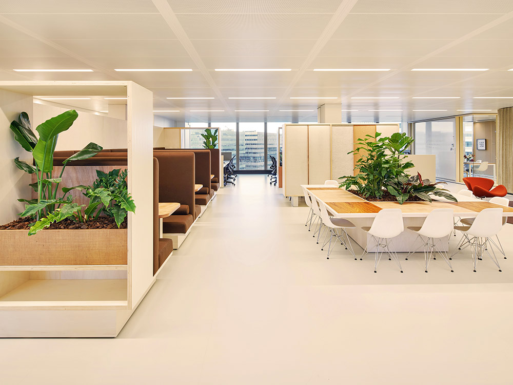 Offices of De Bijenkorf, Amsterdam, with noraplan uni floor coverings