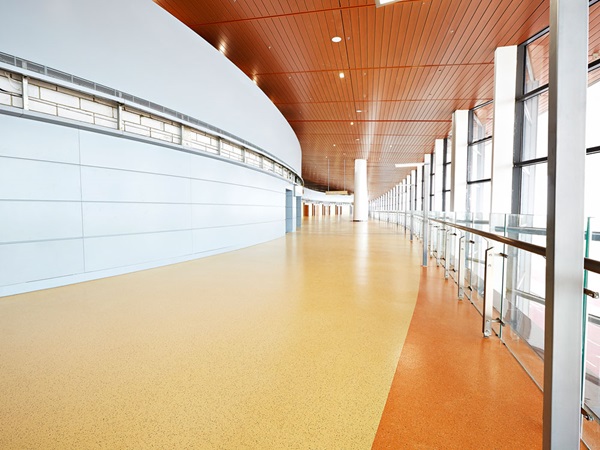 港珠澳大桥,从诺拉开始登陆