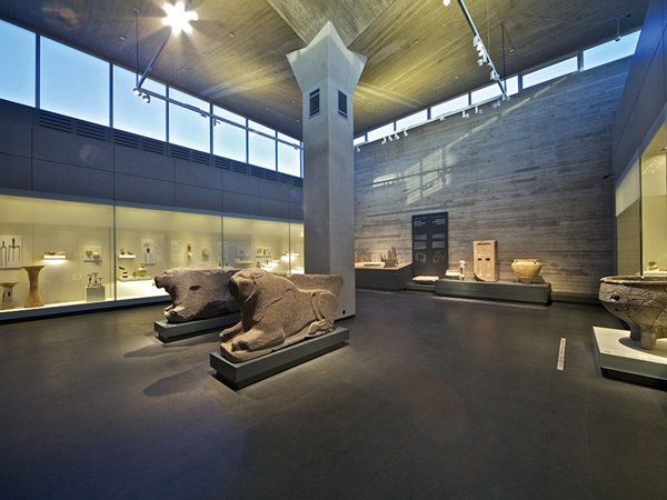 212_500_506_6354_S_1000x750