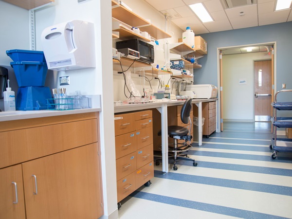 Worcester_University-of-Massachusetts